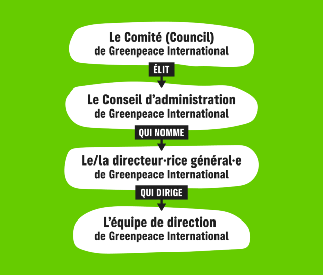 Comment Fonctionne Greenpeace International ? - Greenpeace France