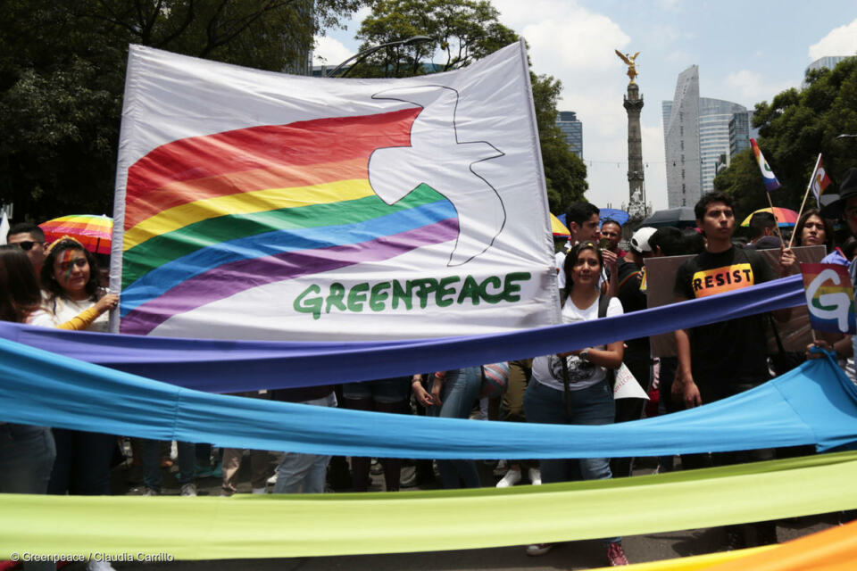 Durant tout le mois de juin, dans de nombreuses villes en France et à l’étranger, les militants et militantes de Greenpeace participent aux marches des fiertés LGBTQIA+. L’occasion de rappeler les liens directs entre l’écologie, la justice sociale et les luttes contre un système injuste, violent et inégalitaire.