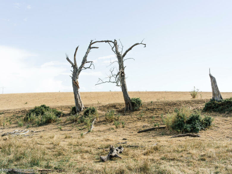 Changement climatique et evenements extremes causes et consequences - canicule et sècheresse en France