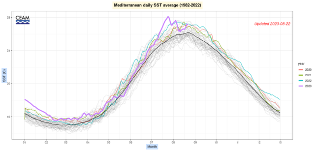 Fig. 1 Graphique illustrant la tendance des températures moyennes de surface en mer Méditerranée (Source : CEAM)