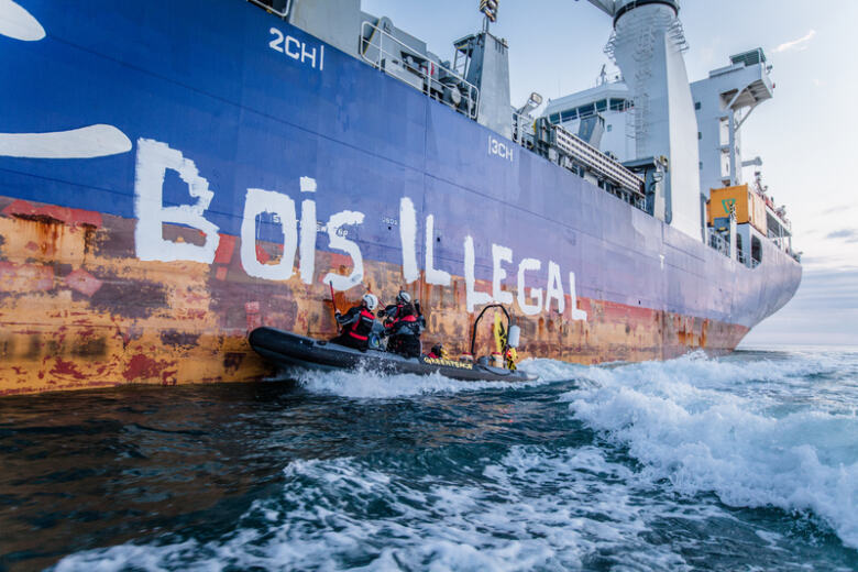 Légendes : Dans le port de la Rochelle, des activistes de Greenpeace bloquent l’arrivée d’un navire transportant du bois suspecté illégal, en provenance de République démocratique du Congo. Juin 2014. © Pierre  Baelen / Greenpeace