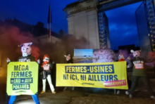 VIDÉO. Greenpeace dénonce l’élevage intensif des 19 fermes-usines d’Indre-et-Loire