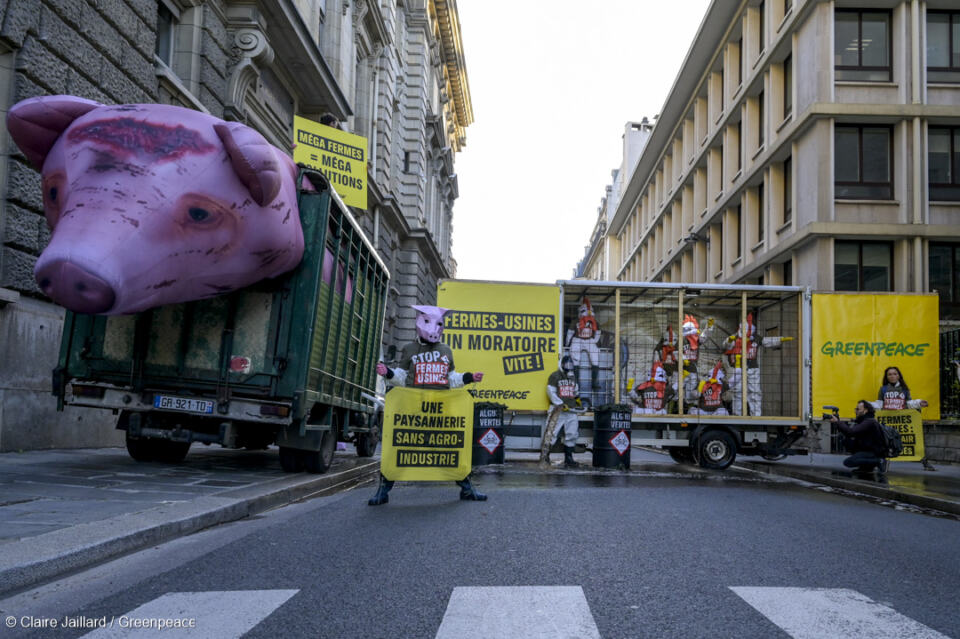 Ce matin, des activistes de Greenpeace France ont déversé 2 tonnes de lisier devant le ministère de l’Agriculture. Le but de cette action : dénoncer l’élevage industriel qui pousse à surproduire toujours plus de viande sans se soucier des nombreuses conséquences environnementales.