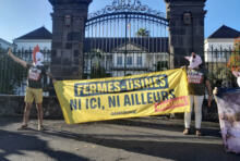 Fermes-usines : les militantes et militants de Greenpeace La Réunion dénoncent la responsabilité du préfet et exigent un moratoire national sur les fermes-usines