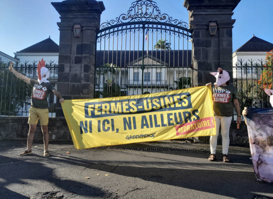 

St Denis, lundi 20 novembre 2023

Ce lundi matin, une dizaine de militante