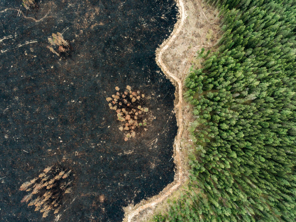 En mai 2023, un règlement européen ambitieux a été adopté pour lutter contre la déforestation. Cette réglementation s’attaque à des enjeux sociaux et environnementaux primordiaux, pour lesquels il n’y a plus de temps à perdre. Pourtant, l’Union européenne s’apprête aujourd’hui à en repousser la date d’entrée en vigueur tandis que plusieurs partis politiques tentent de le vider de sa substance. Retour sur un scandale politique.