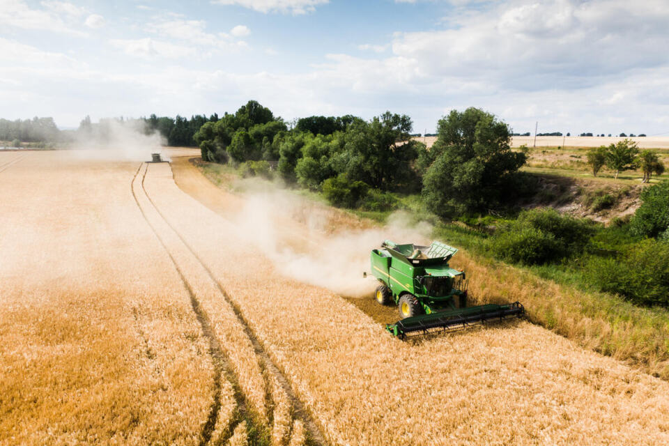  - Images of crops in the German state of Saxony-Anhalt during the harvest season. The crops are some of the largest-scaled in Germany.
Grosse Acker mit Getreideanbau in Sachsen-Anhalt waehrend der Ernte. Die Felder sind unter den groessten in Deutschland. 
Drohnenaufnahme.