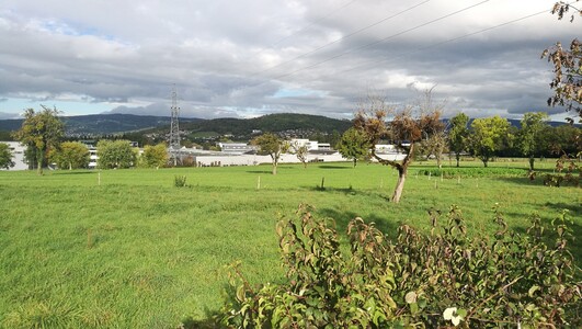 Le Parc d’Activités des Glaisins d’Annecy, vous connaissez ?

On vous exp