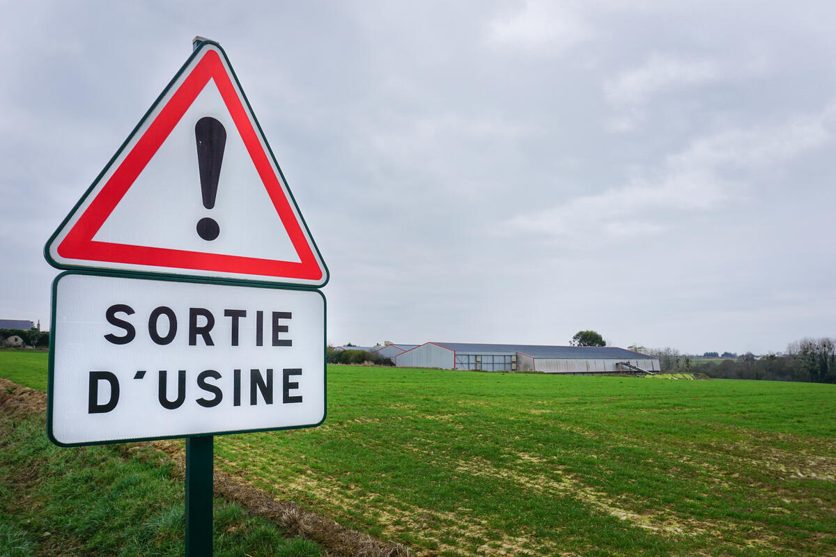 Le gouvernement persiste dans sa volonté ridicule d'opposer agriculture et en