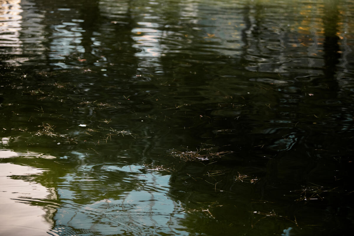 Au sein du collectif « Stop Pétrole Bassin d'Arcachon », le groupe local de Greenpeace Bordeaux milite activement contre un projet de nouveaux puits de pétrole près du bassin d'Arcachon.