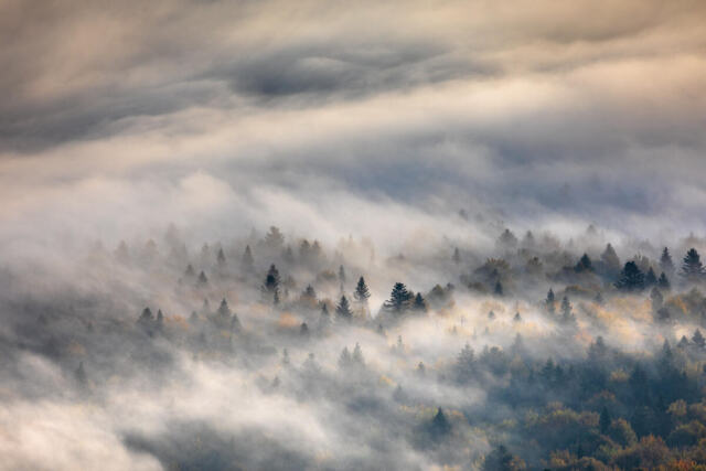 Nature of the Turnica and Bieszczady Mountain Ranges in the Polish Carpathians.
