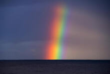 Hommage à Arnaud Apoteker