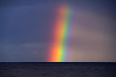 Hommage à Arnaud Apoteker