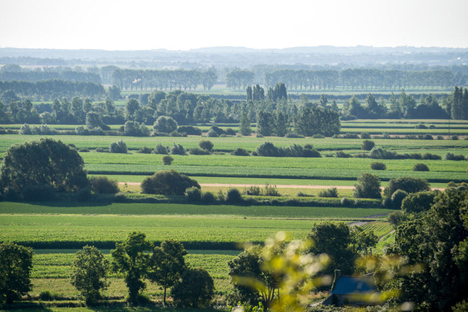 Agricultural Landscape of Bretagne. - Agricultural landscape from the Mont Saint-Michel Bay, view from the village Roz-sur-Couesnon.