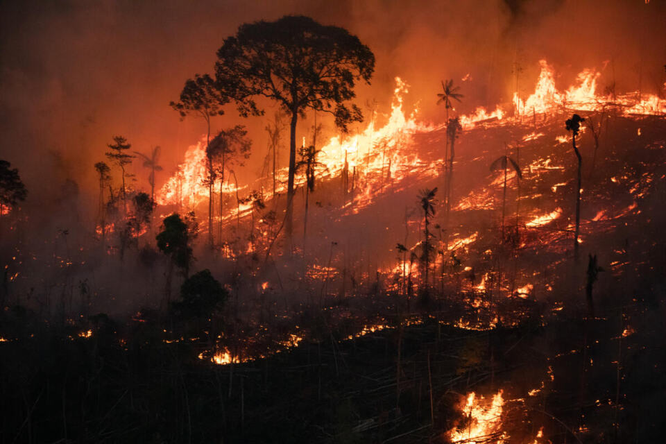  - Overflight images in Porto Velho, in the Amacro region (Amazonas, Acre and Rondônia states), in an area of around 8,000 hectares of deforestation - the largest in 2022 - that has been burning for days.
Sobrevoo em Porto Velho, na região da Amacro (Amazonas, Acre e Rondônia), em uma área com cerca de 8.000 hectares de desmatamento - a maior em 2022 - que está queimando há dias.