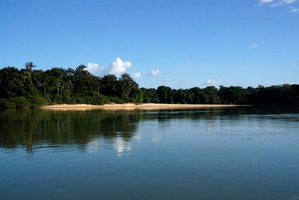 Sawré Muybu est un territoire indigène situé dans le bassin du fleuve Tapajó