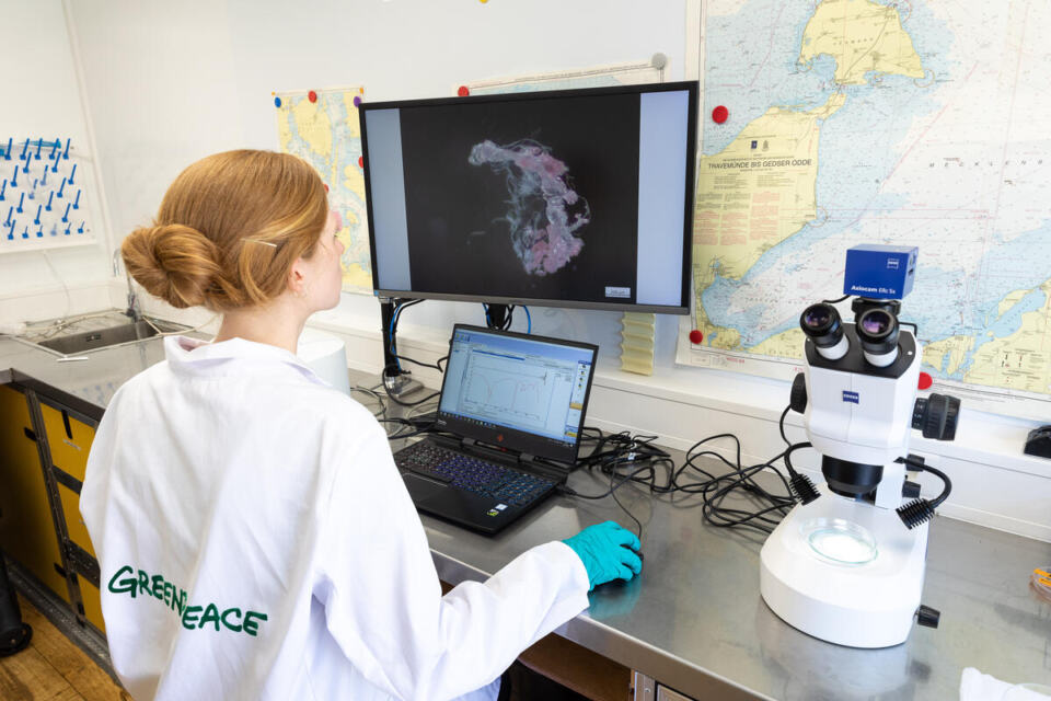 Detergent Analysis in Mobile Laboratory. - Greenpeace expert examines Italian detergents for microplastics in a mobile laboratory at the Greenpeace warehouse in Hamburg.