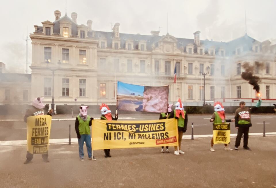 
Les fermes usines ont de multiples conséquences négatives  :
- pollution d