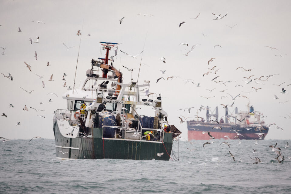 Elles devraient être des refuges de biodiversité, mais les aires marines protégées (AMP) françaises sont loin d’être à la hauteur. En réalité, elles n’ont de “protégées” que le nom car des activités destructrices comme la pêche industrielle continuent d’y être autorisées. Que se passe-t-il vraiment dans ces soi-disant sanctuaires marins ?