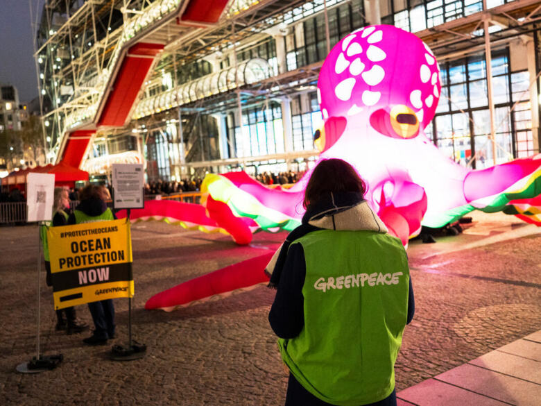 Billie the Octopus Protests at the Centre Pompidou in Paris, France.