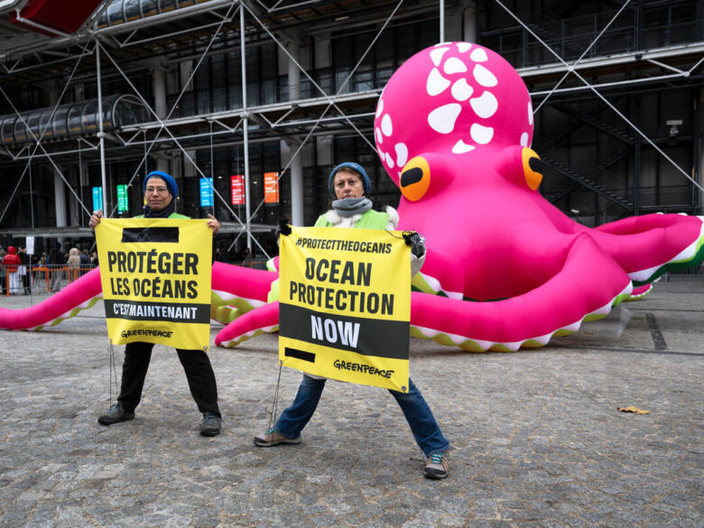 Billie the Octopus Protests at the Centre Pompidou in Paris, France.