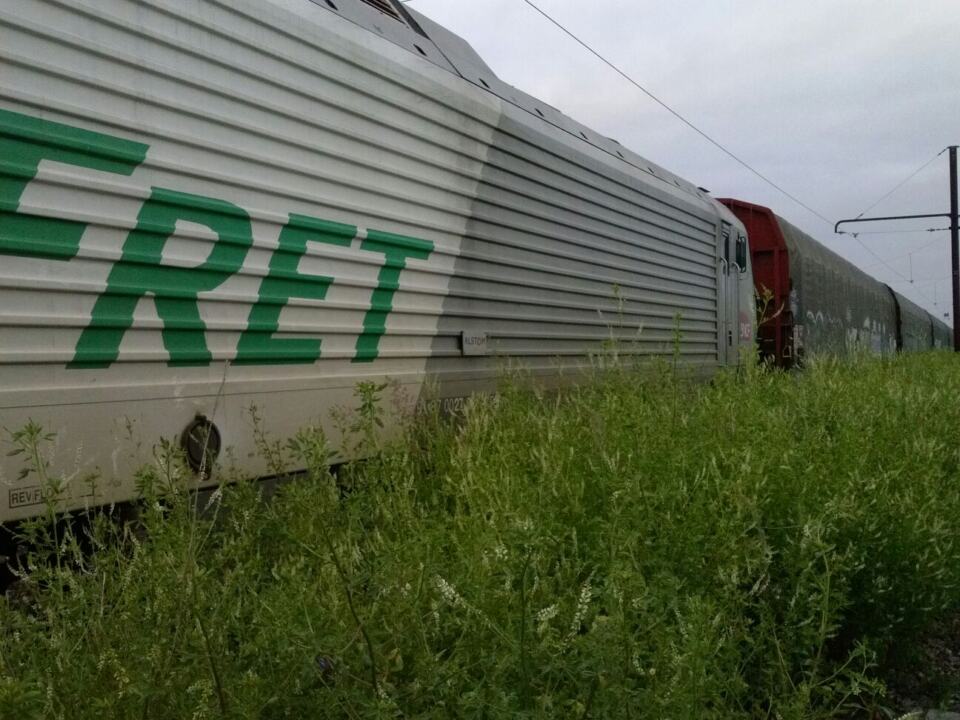 Depuis plusieurs mois, nous tirons la sonnette d’alarme avec nos alliés de l’Alliance écologique et sociale sur une catastrophe écologique, sociale et économique préparée par les gouvernements successifs : le démantèlement de Fret SNCF, le service public de transport de marchandises par train. Alors qu’une grande mobilisation intersyndicale s’organise pour le 11 décembre, nous soutenons cette lutte en faveur du fret ferroviaire, et plus généralement du train et des services publics.