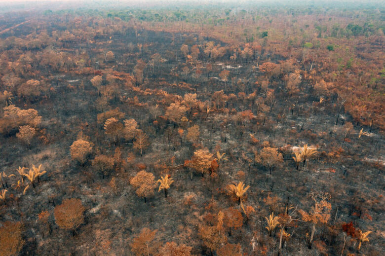 Scorched Earth in the Capoto-Jarina Indigenous Territory in the Amazon.