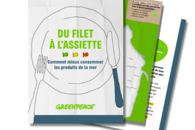 Comment consommer du poisson de manière responsable ?