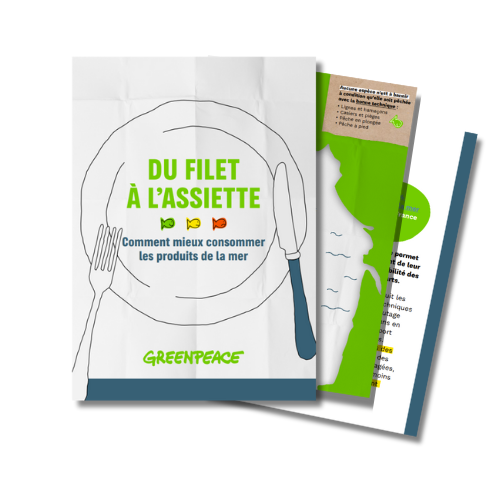 Comment consommer du poisson de manière responsable , Téléchargez notre fiche !