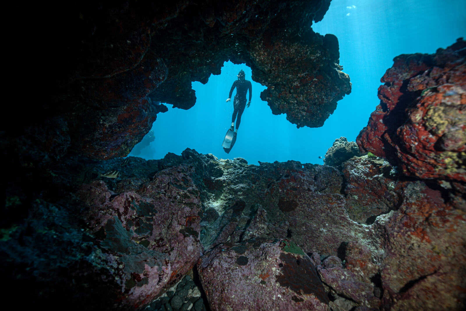Du 9 au 13 juin, la Conférence des Nations unies sur l'océan (UNOC) se tient à Nice. Pour Greenpeace et la société civile, c'est un moment déterminant : il est encore temps d'agir pour préserver l'océan, mais les décisions doivent être prises maintenant.