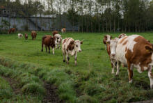 Loi Duplomb : une loi agricole rétrograde qui passe en force