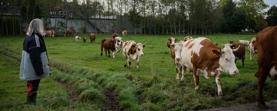 Alors que le gouvernement français promettait d'agir pour aider les agriculteurs et agricultrices, force est de constater que les mesures proposées ne vont profiter qu'à l'agrobusiness. Les paysans et l'environnement sont purement et simplement sacrifiés. 