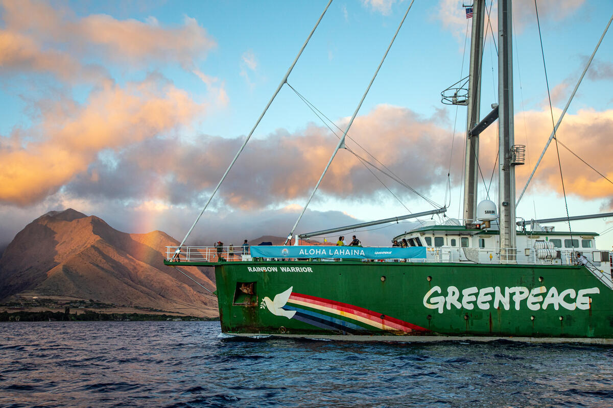 Nous étions au parc de la Grande Maison de Bures sur Yvette ce dimanche 27 Juil