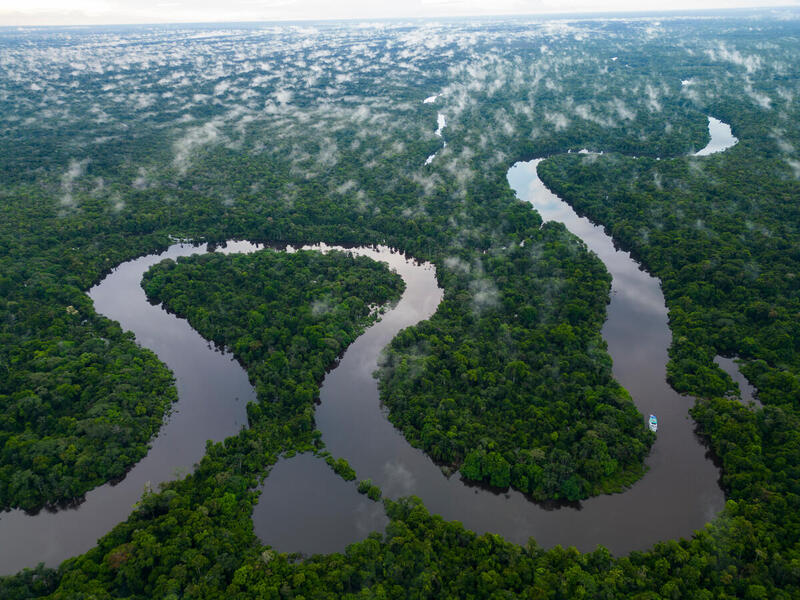 À l'approche de la COP30, qui se tiendra du 10 au 21 novembre 2025 à Belém,