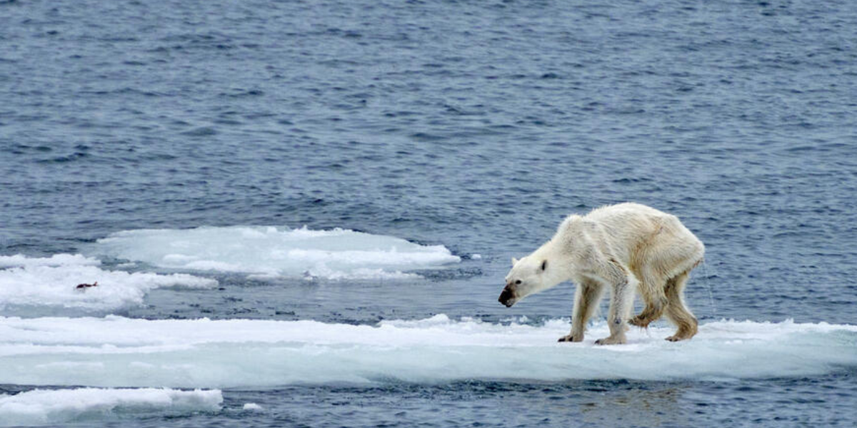 Rejoignez le mouvement !