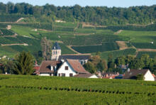 Municipales 2026 : l’écologie et la solidarité au quotidien