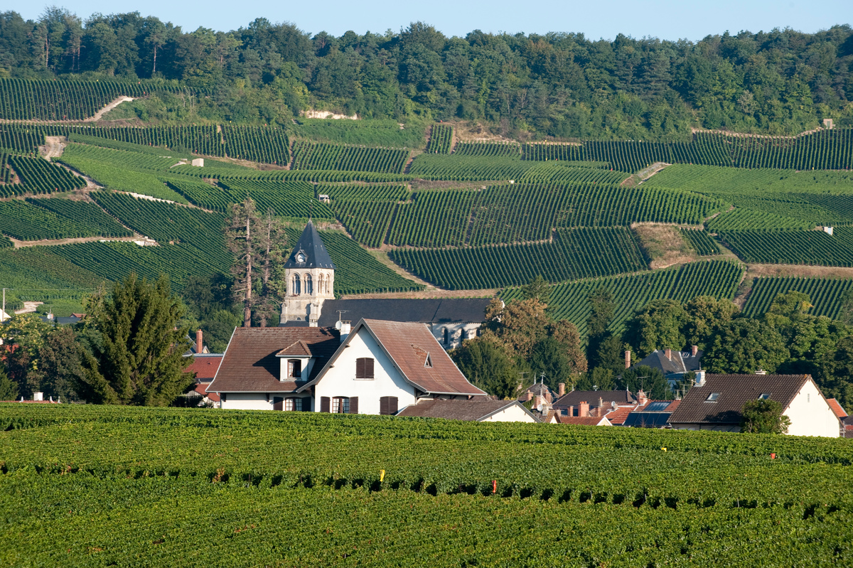Au cœur des élections municipales, notre environnement, notre santé, notre cadre de vie