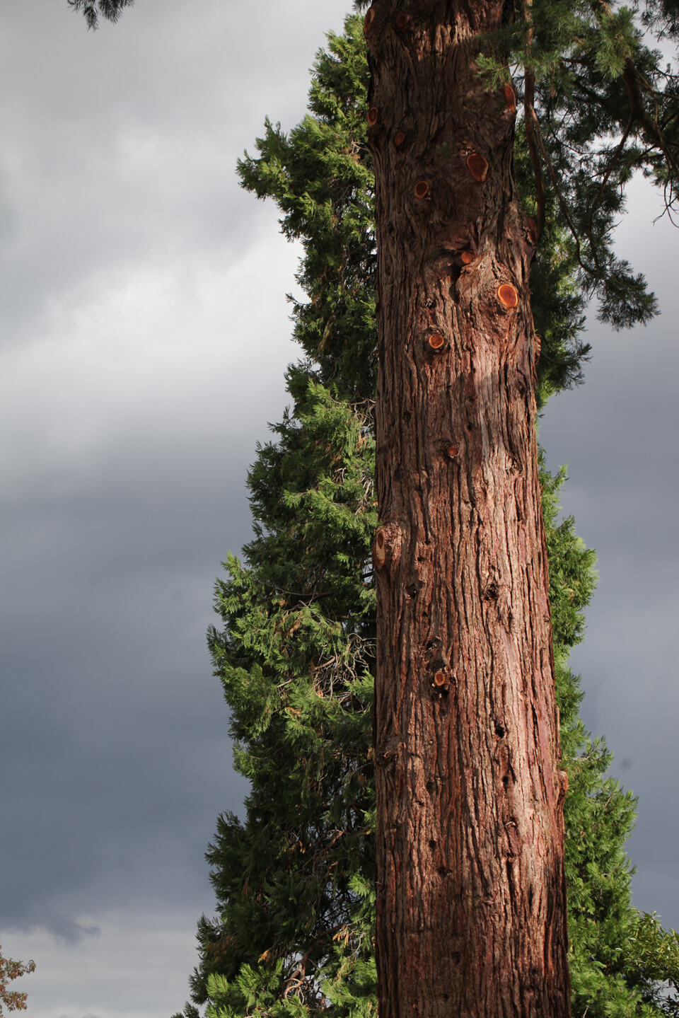 
Très  BONNE NOUVELLE !! 
Fin août 2025, le Service Eau Environnement de la 