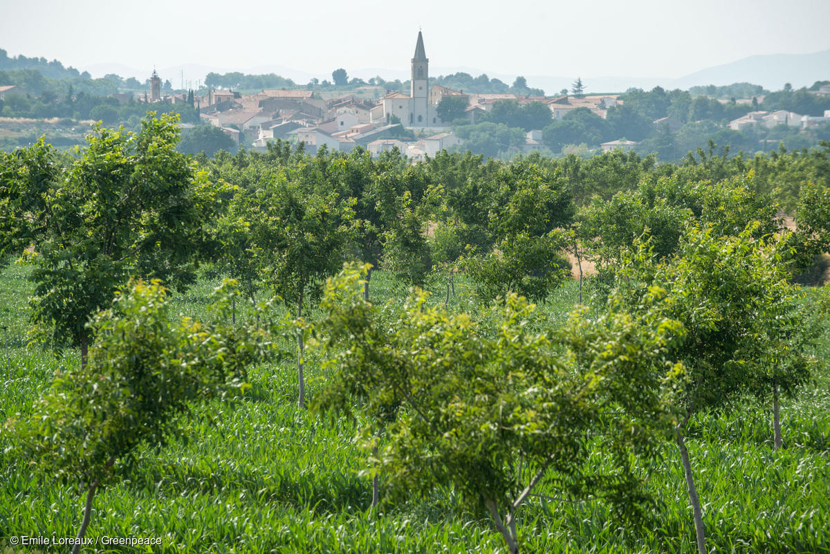 Notre environnement, notre santé, notre cadre de vie sont au cœur des élections municipales des 15 et 22 mars.