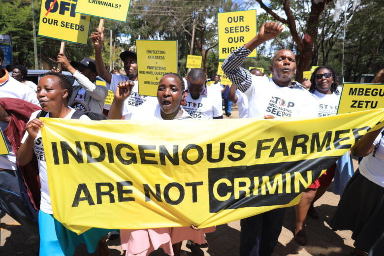 Seed Litigation Hearing in Kenya.