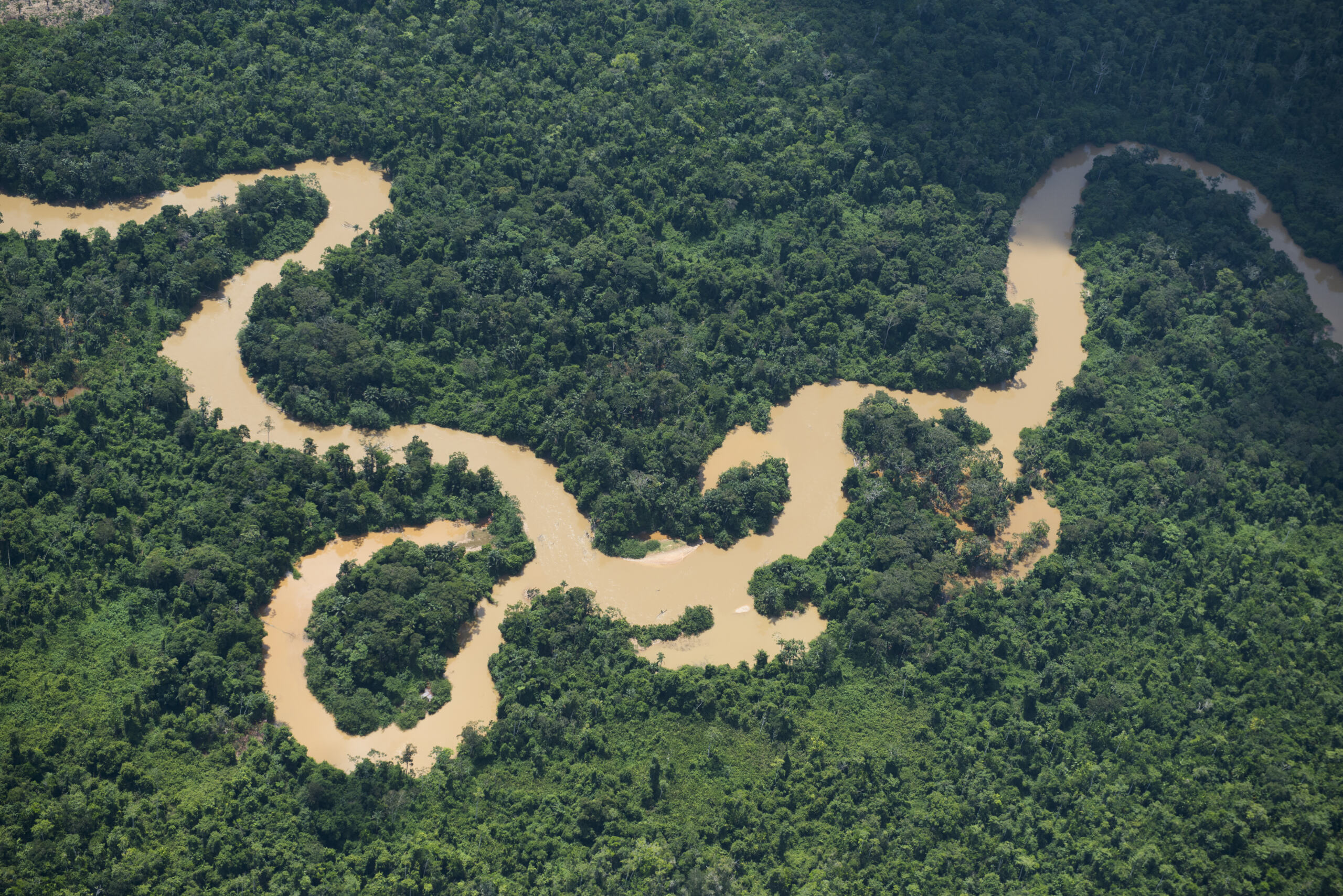 2026, l’année du basculement pour l’Amazonie ?
