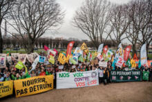 Loi Duplomb ep.II : l’attaque du clone