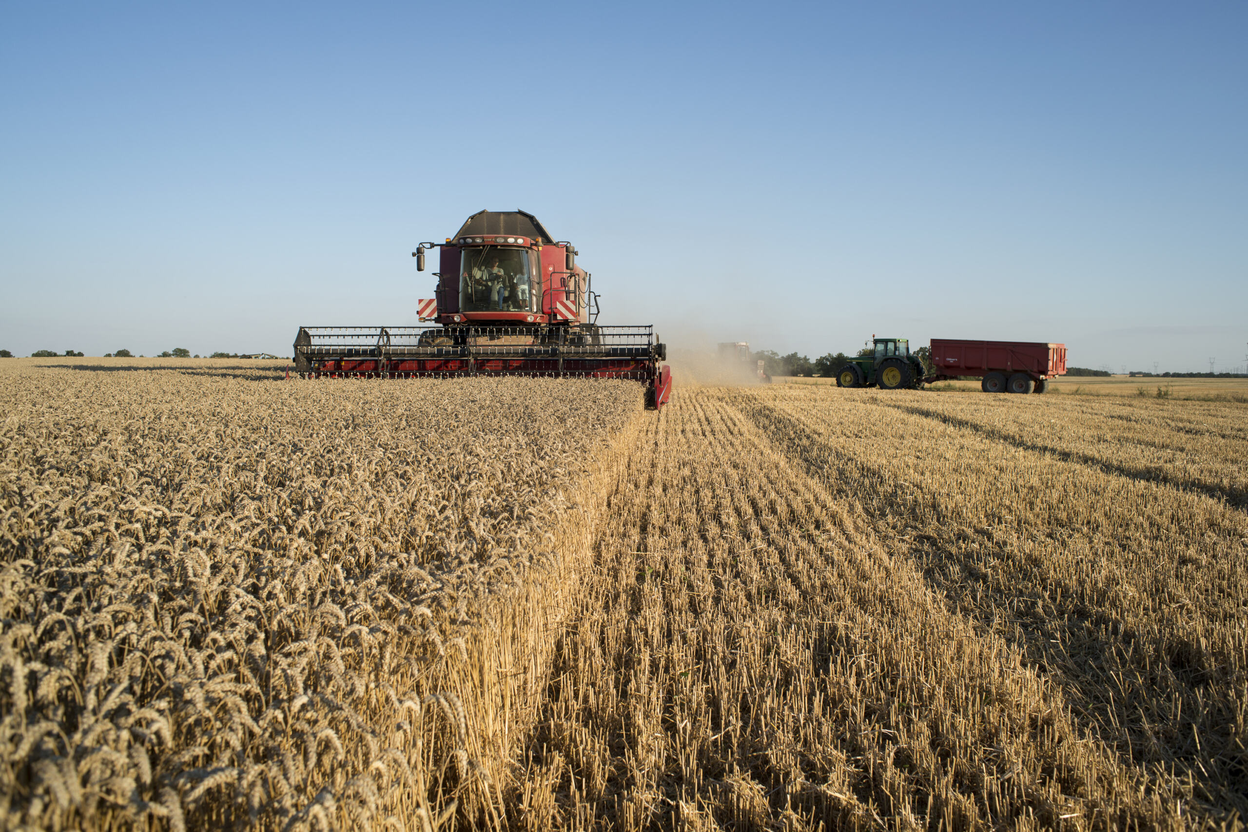 La nouvelle loi d’urgence agricole aggrave la crise