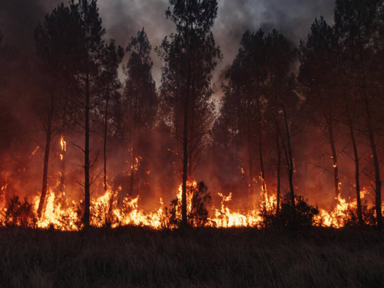 Un incendie ravage la Gironde. © Astrid LAGOUGINE / Greenpeace