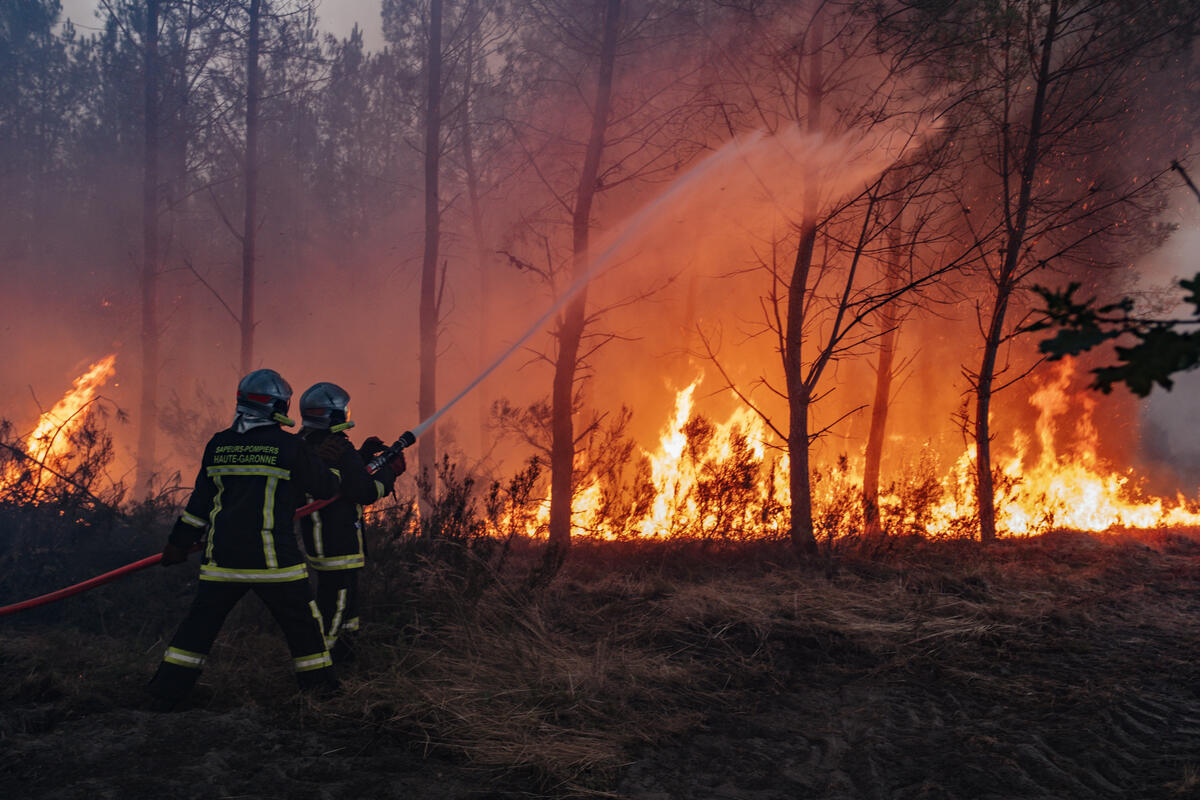 Cet été, nous avons suffoqué. Nous avons vécu la plus longue canicule jamais enregistrée en France, des hôpitaux sous tension, des écoles contraintes de fermer, des incendies d'une rare intensité qui ont consumé des milliers d'hectares, une sécheresse extrême qui menace l'agriculture, la production d'énergie et la biodiversité. Était-ce évitable ? Analysons ensemble pour mieux comprendre, et agir.