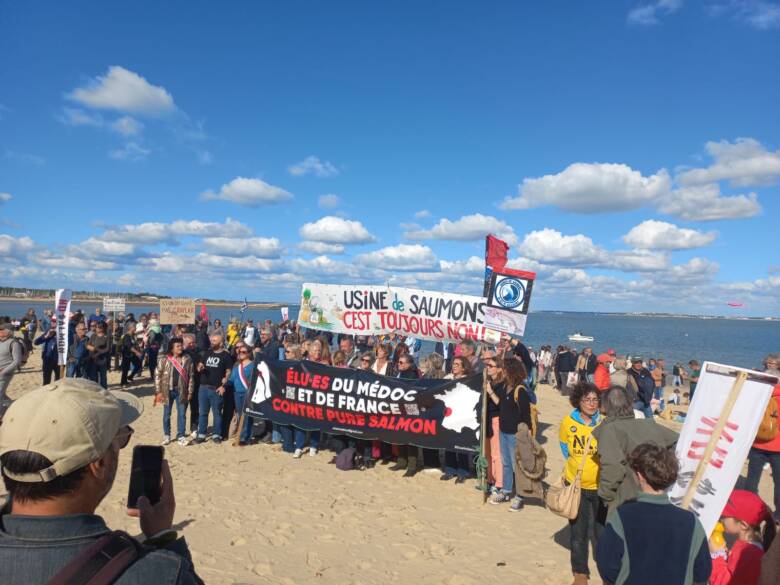 Manifestation sur la plage